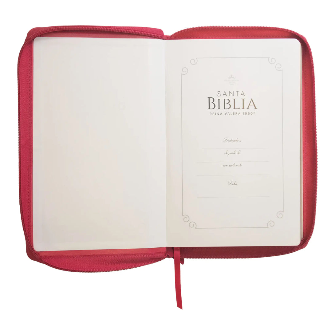 Biblia Reina Valera 1960 tamaño manual letra grande 12