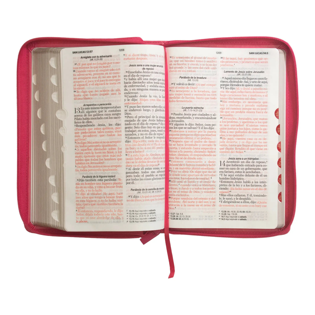 Biblia Reina Valera 1960 tamaño manual letra grande 12