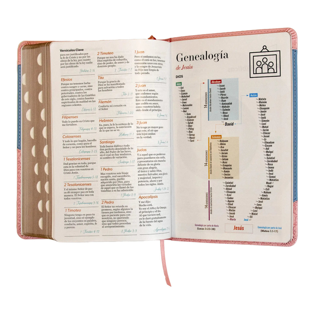 Biblia Reina Valera 1960 tamaño manual letra grande 12