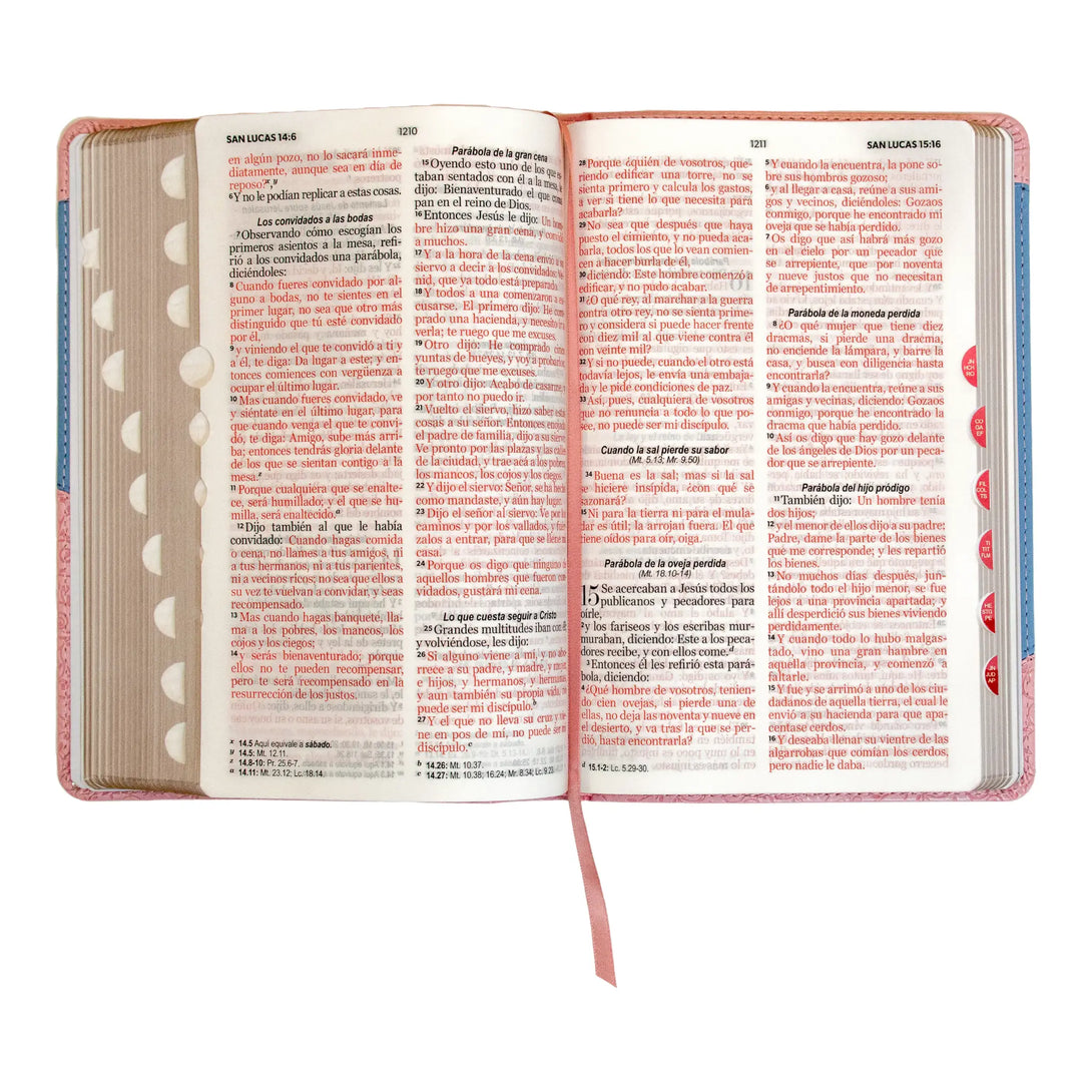 Biblia Reina Valera 1960 tamaño manual letra grande 12