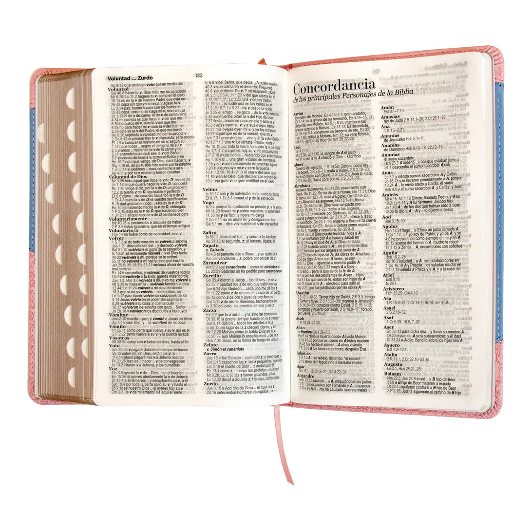 Biblia Reina Valera 1960 tamaño manual letra grande 12