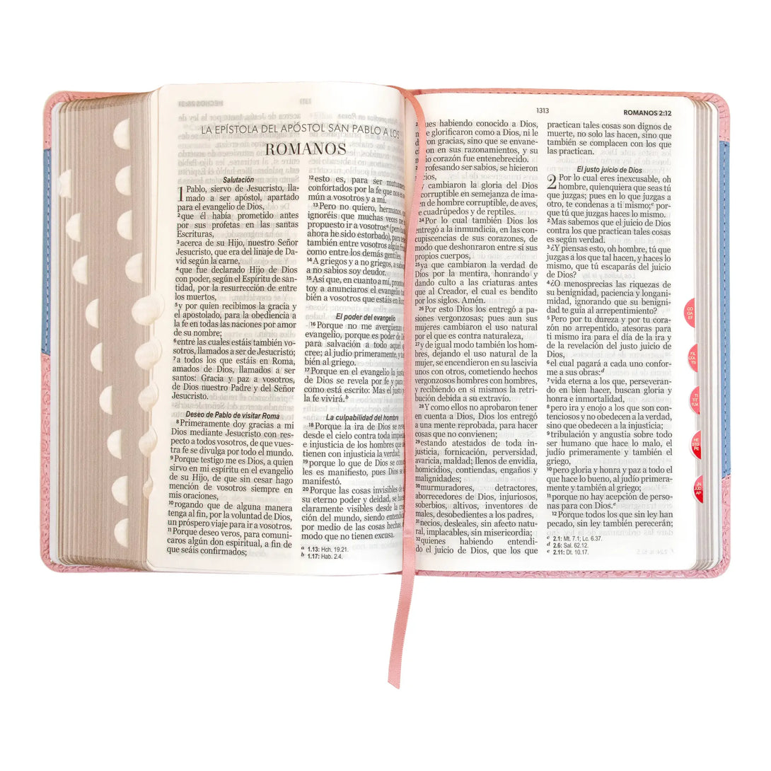 Biblia Reina Valera 1960 tamaño manual letra grande 12