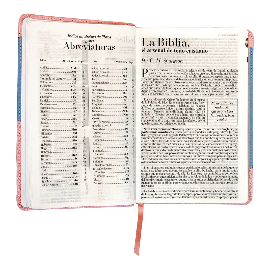 Biblia Reina Valera 1960 tamaño manual letra grande 12