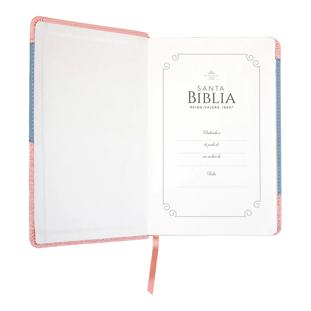 Biblia Reina Valera 1960 tamaño manual letra grande 12