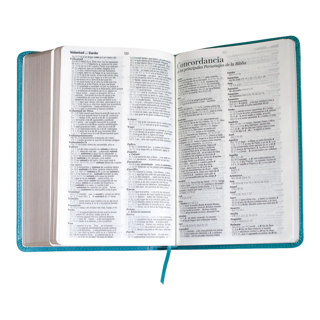 Biblia Reina Valera 1960 tamaño manual letra grande 12