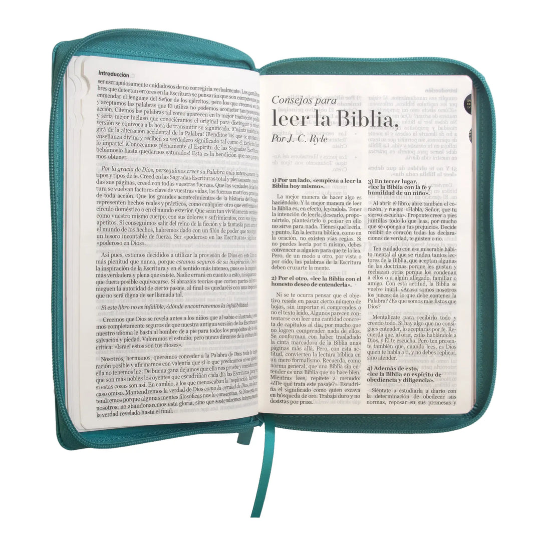 Biblia Reina Valera 1960 tamaño manual letra grande 12