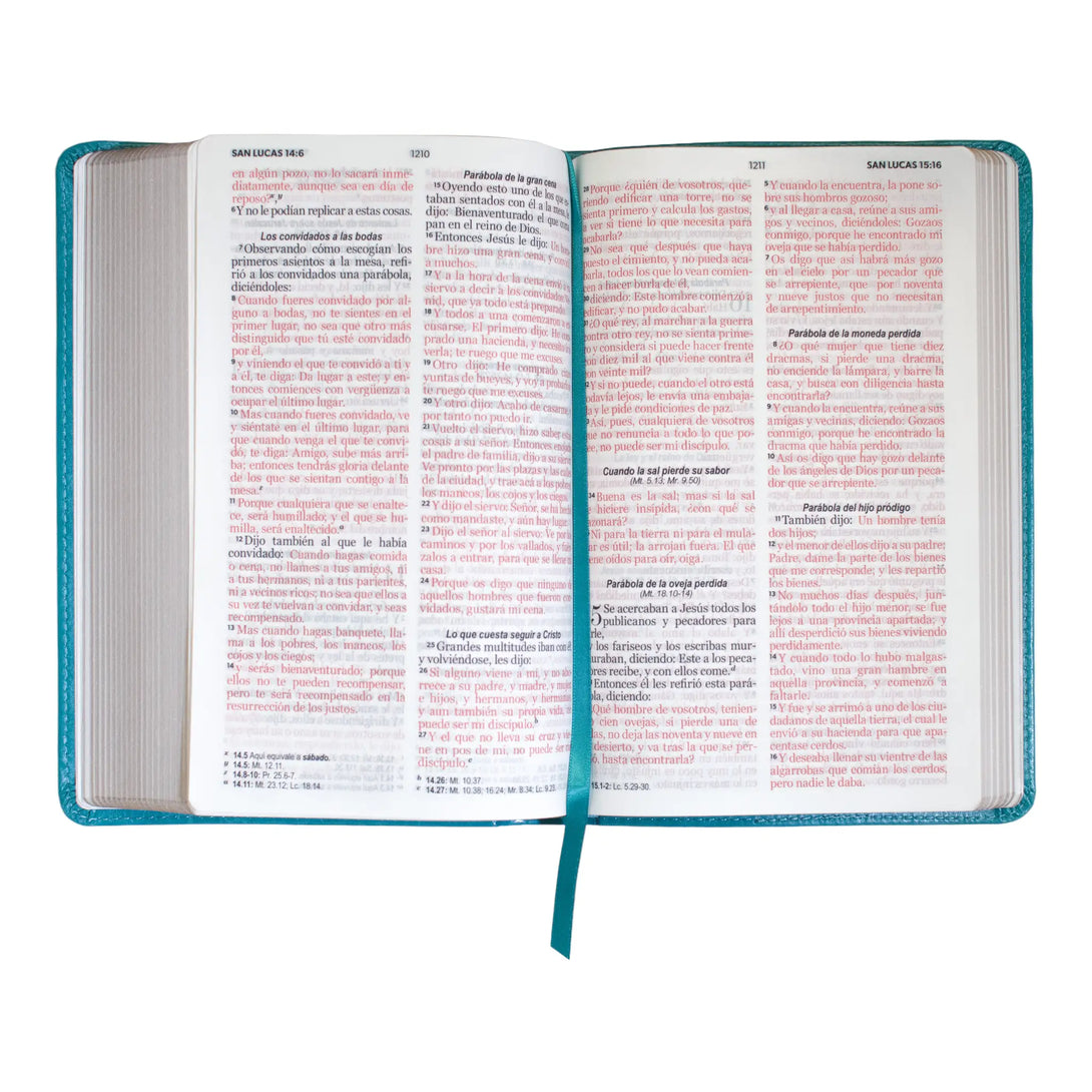 Biblia Reina Valera 1960 tamaño manual letra grande 12