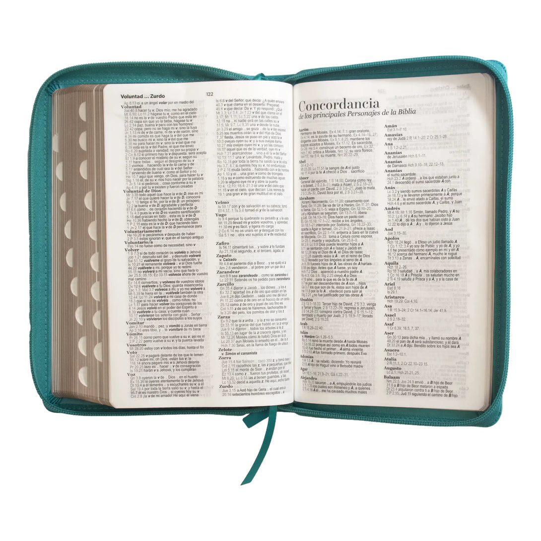 Biblia Reina Valera 1960 tamaño manual letra grande 12