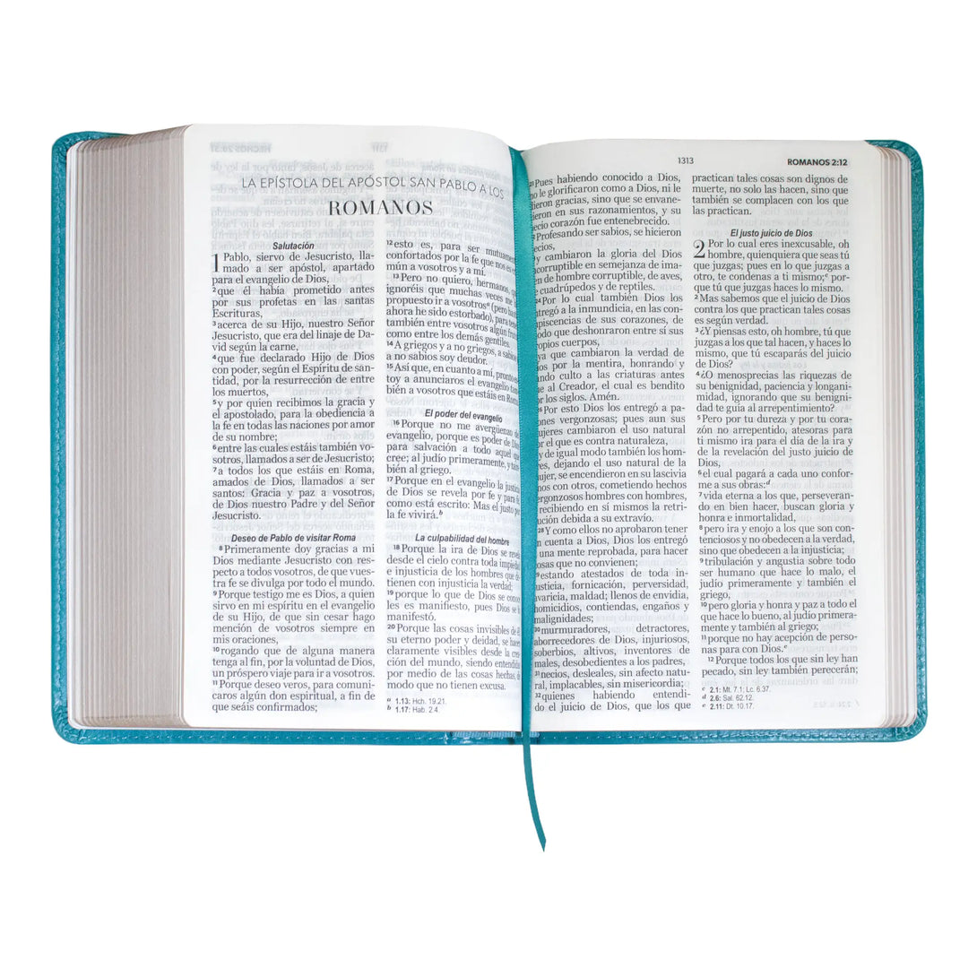 Biblia Reina Valera 1960 tamaño manual letra grande 12