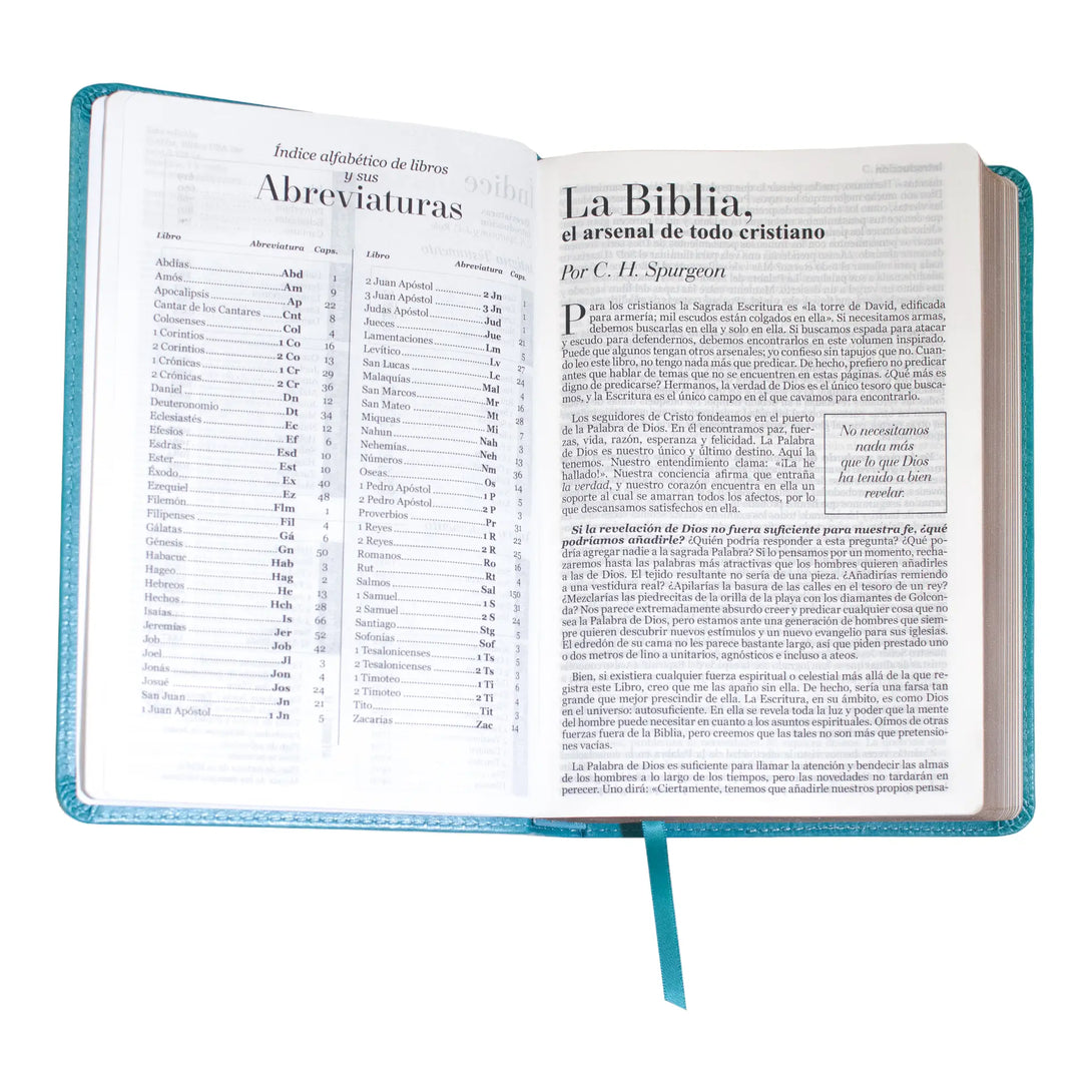 Biblia Reina Valera 1960 tamaño manual letra grande 12