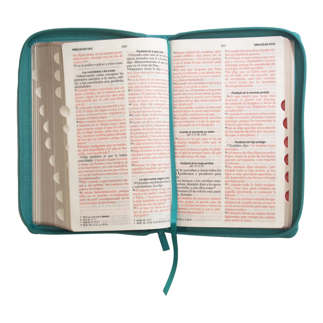 Biblia Reina Valera 1960 tamaño manual letra grande 12