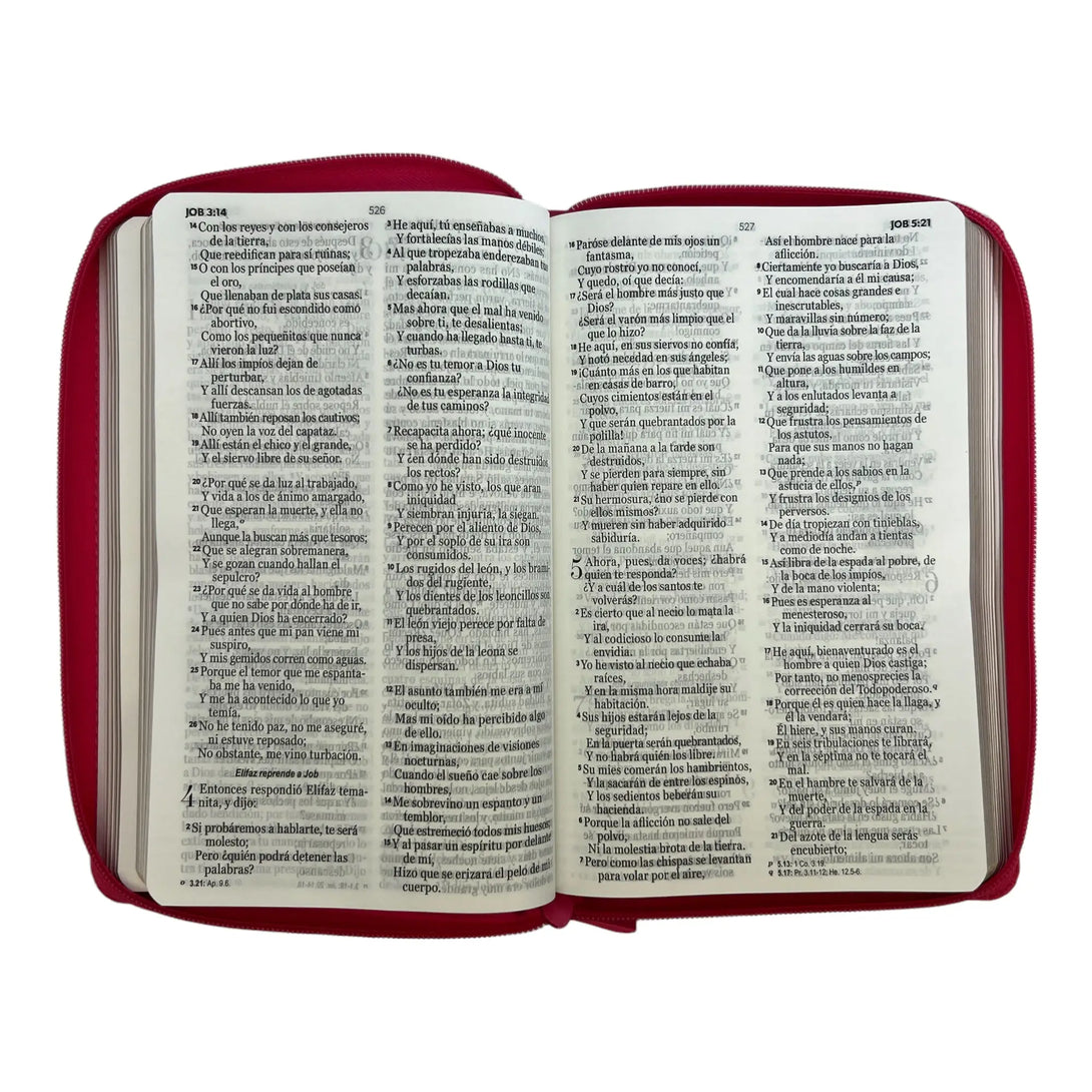 Biblia Reina Valera 1960 tamaño manual Letra Grande 12