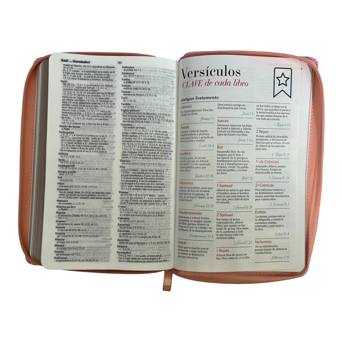 Biblia Reina Valera 1960 tamaño manual Letra Grande 12