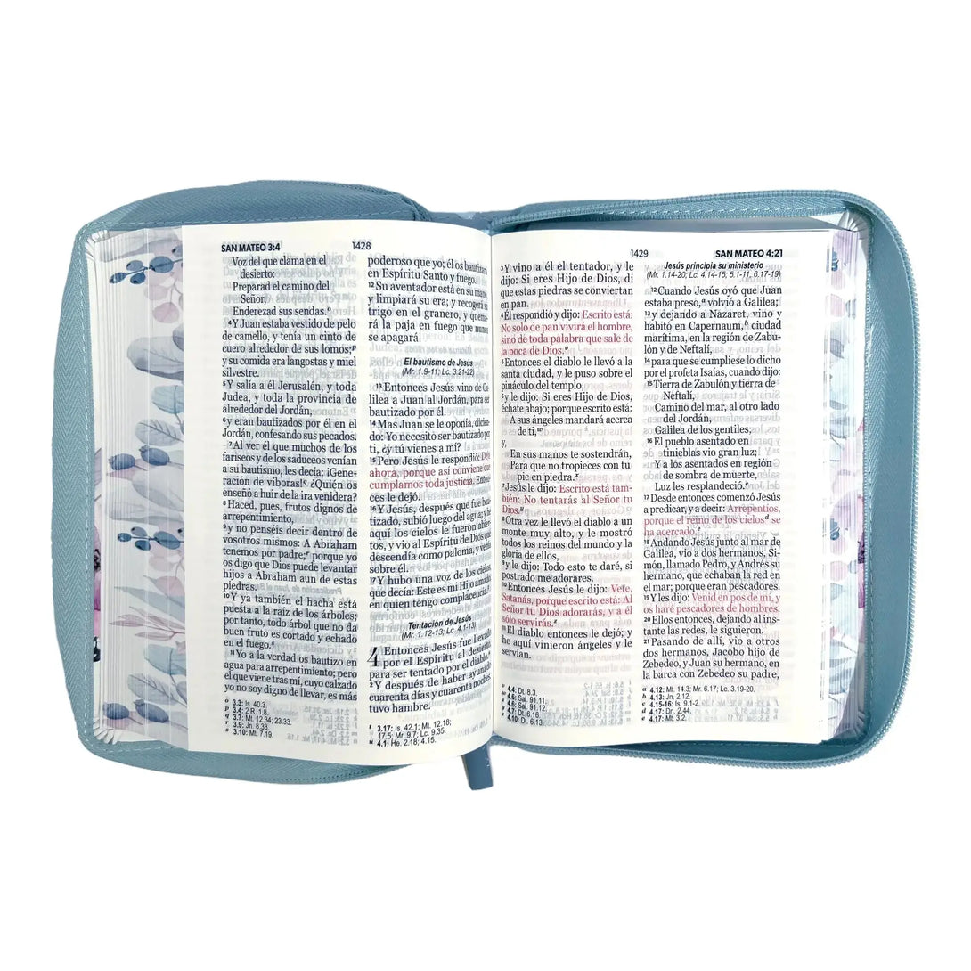 Biblia Reina Valera 1960 tamaño portátil Letra Grande 11