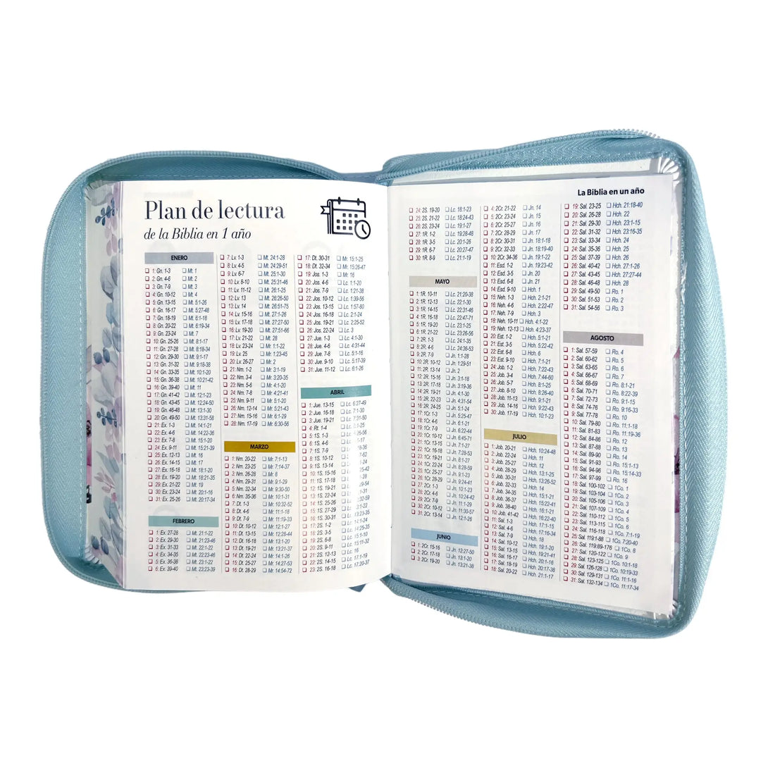 Biblia Reina Valera 1960 tamaño portátil Letra Grande 11