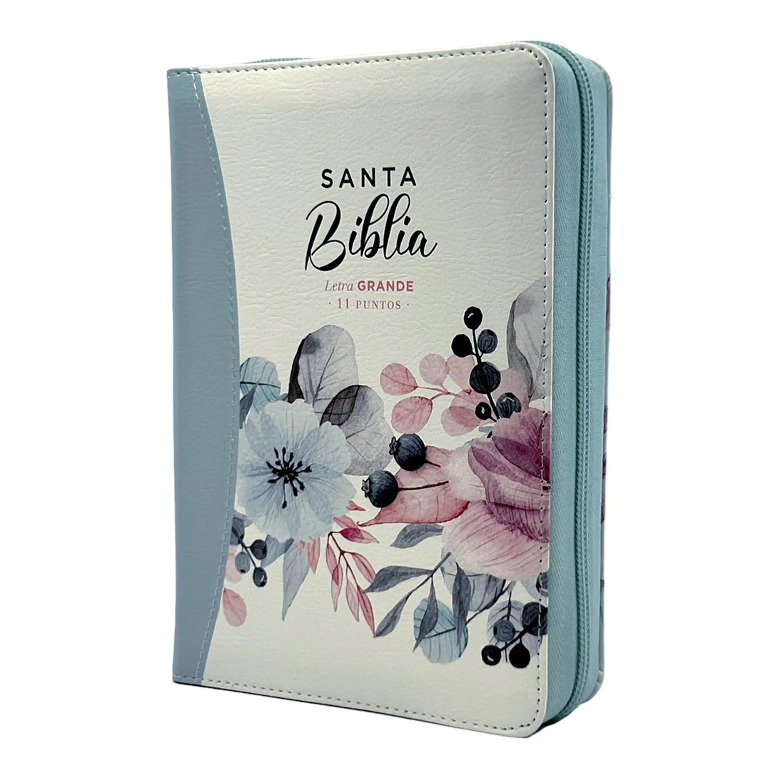 Biblia Reina Valera 1960 tamaño portátil Letra Grande 11