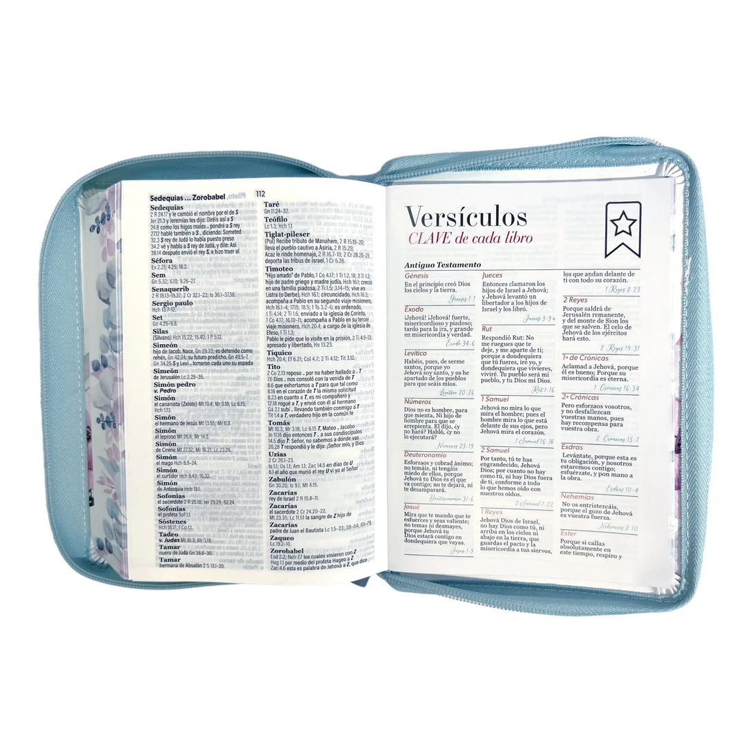 Biblia Reina Valera 1960 tamaño portátil Letra Grande 11