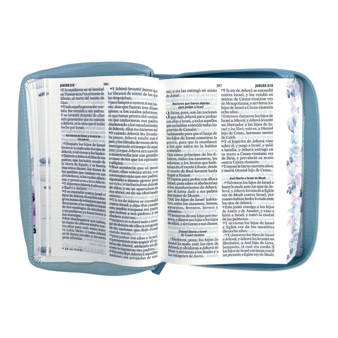 Biblia Reina Valera 1960 tamaño portátil Letra Grande 11