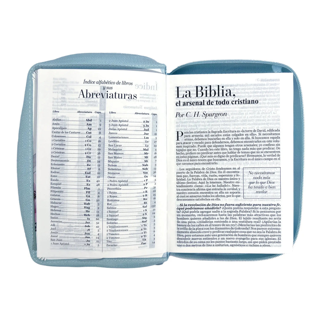 Biblia Reina Valera 1960 tamaño portátil Letra Grande 11
