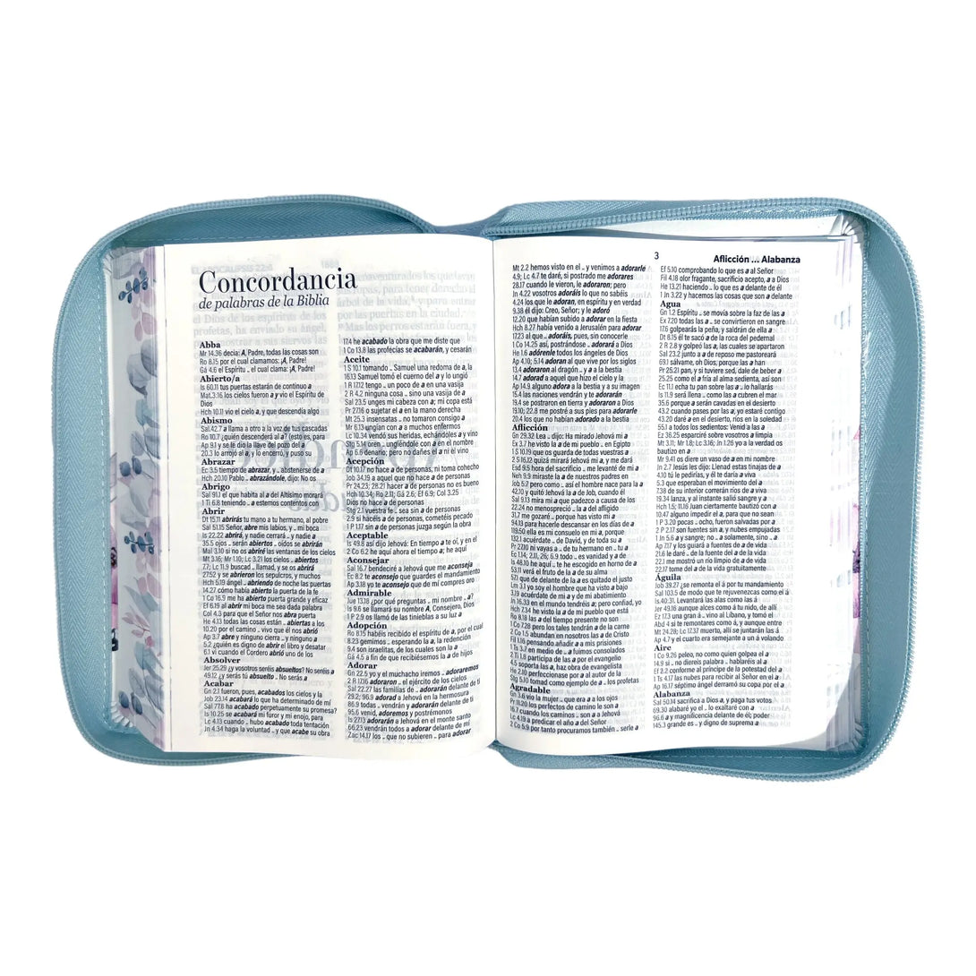 Biblia Reina Valera 1960 tamaño portátil Letra Grande 11