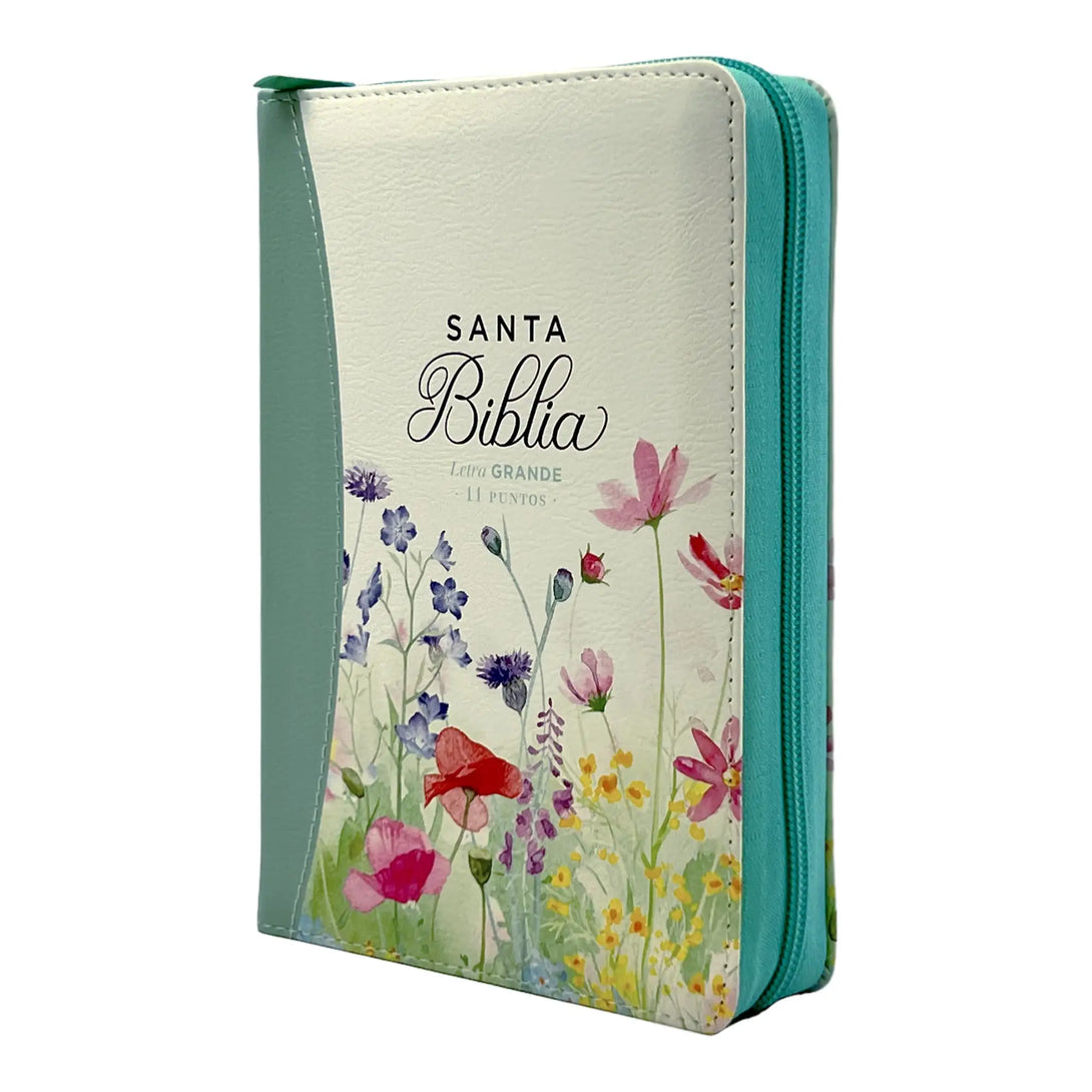 Biblia Reina Valera 1960 tamaño portátil Letra Grande 11