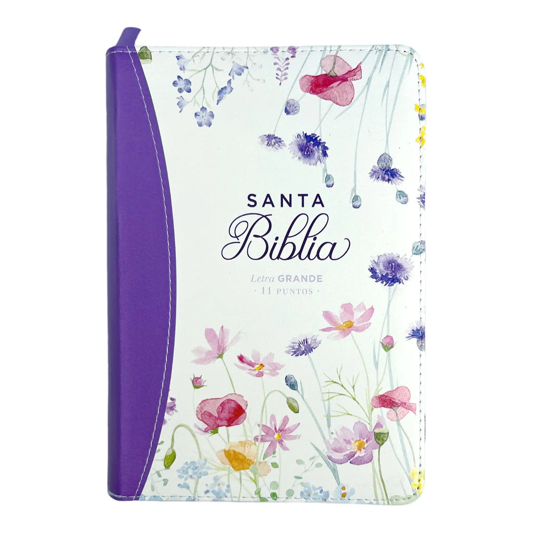 Biblia Reina Valera 1960 tamaño portátil Letra Grande 11
