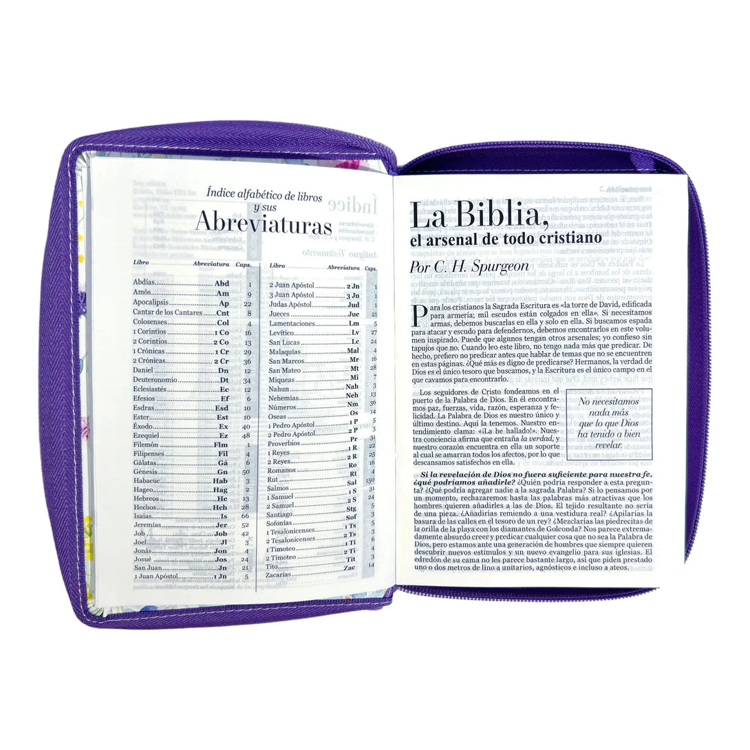 Biblia Reina Valera 1960 tamaño portátil Letra Grande 11