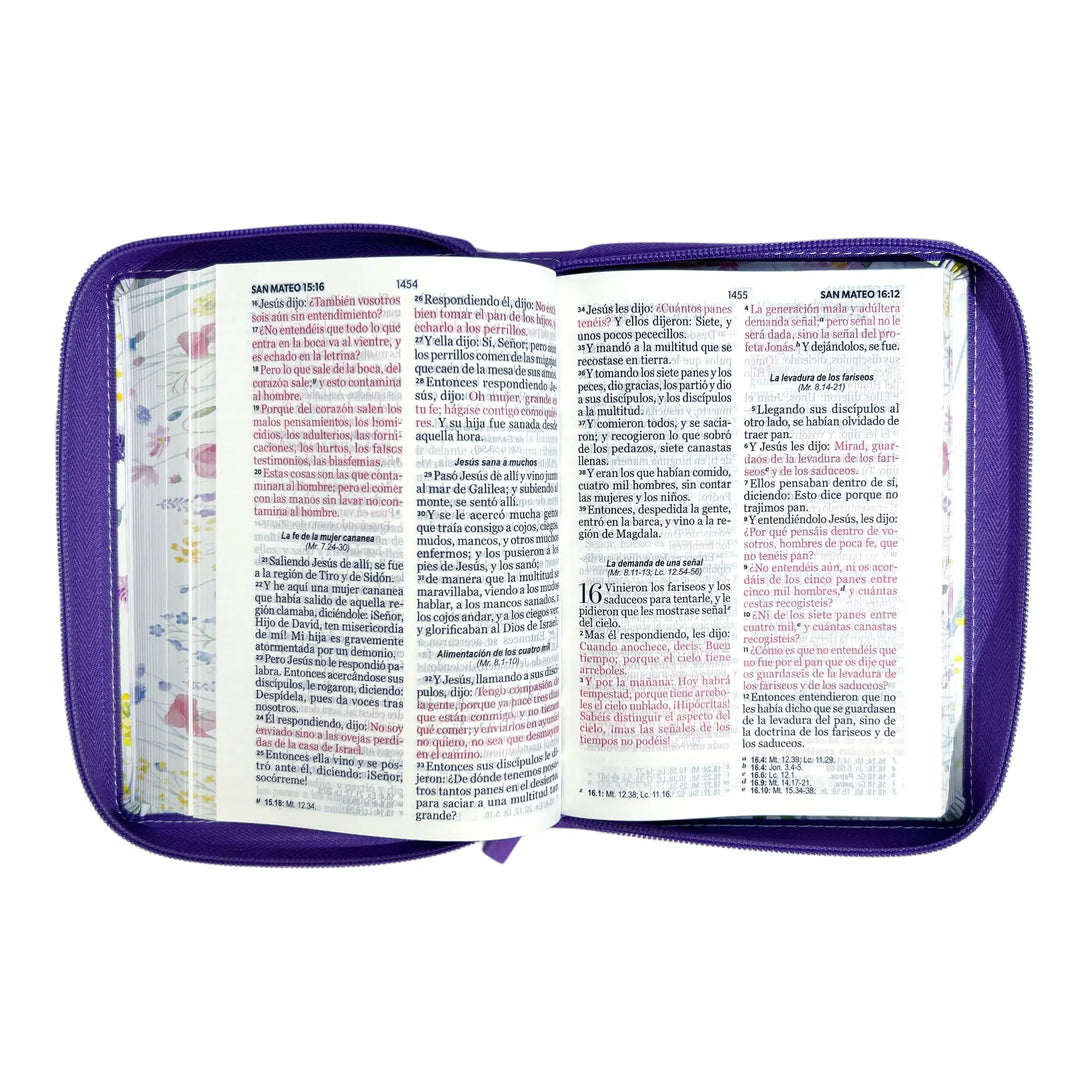 Biblia Reina Valera 1960 tamaño portátil Letra Grande 11