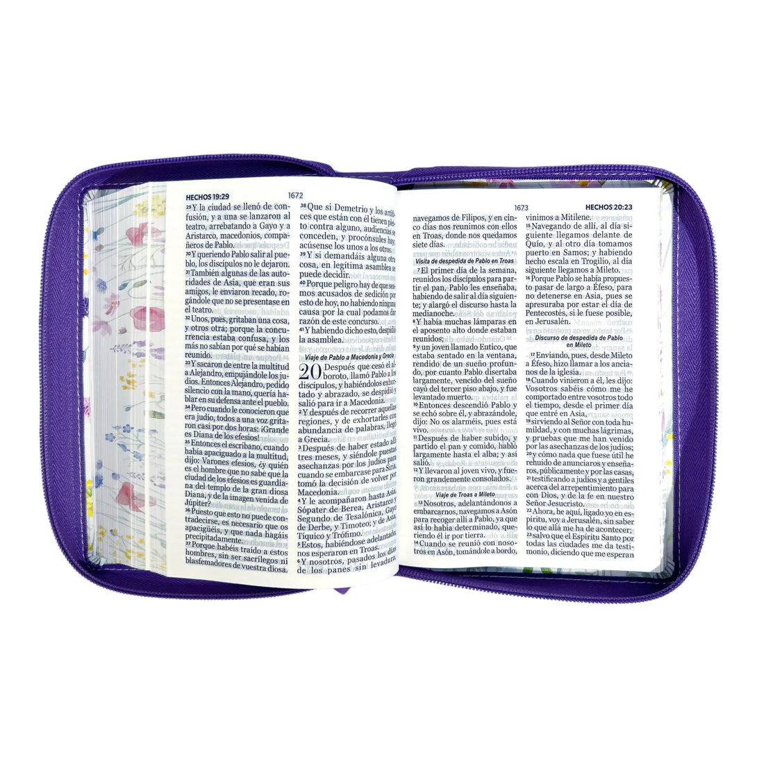 Biblia Reina Valera 1960 tamaño portátil Letra Grande 11