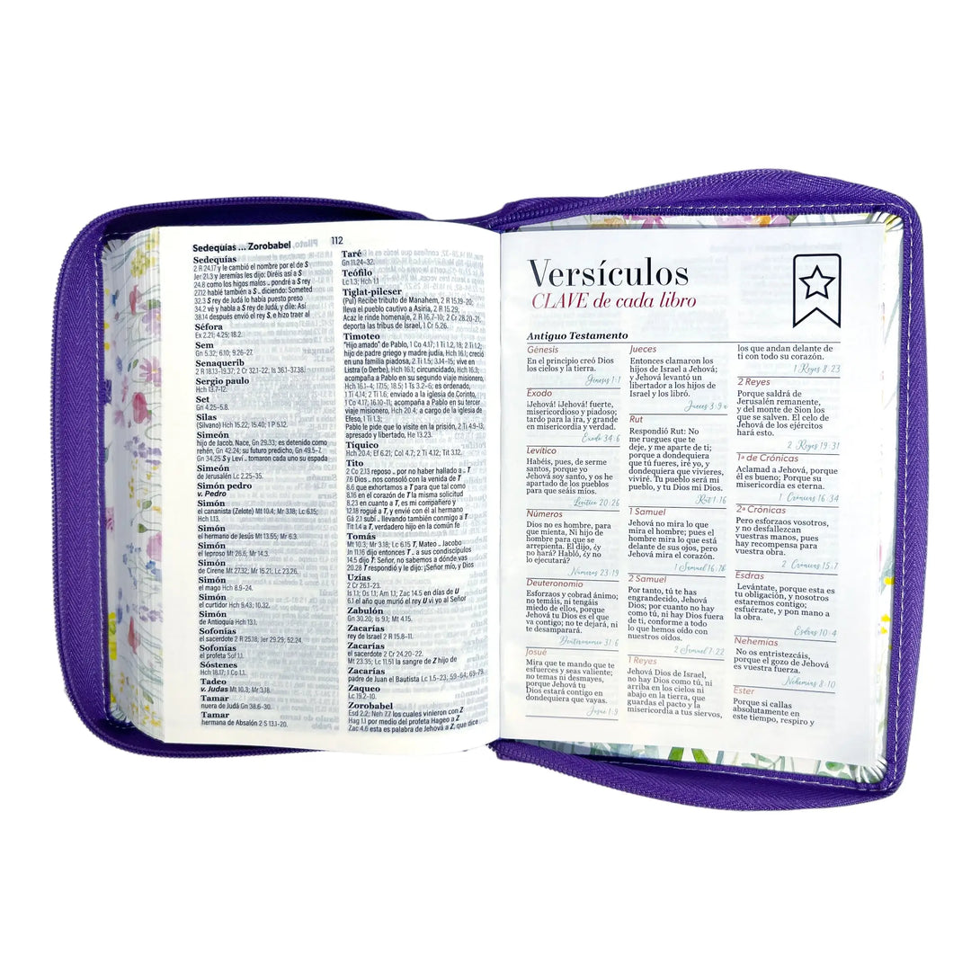 Biblia Reina Valera 1960 tamaño portátil Letra Grande 11