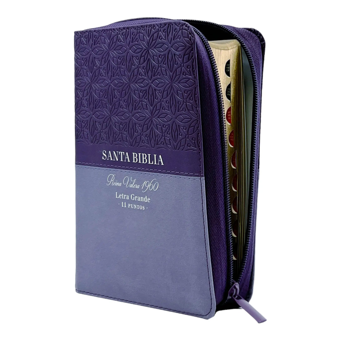 Biblia Reina Valera 1960 tamaño portátil Letra Grande 11