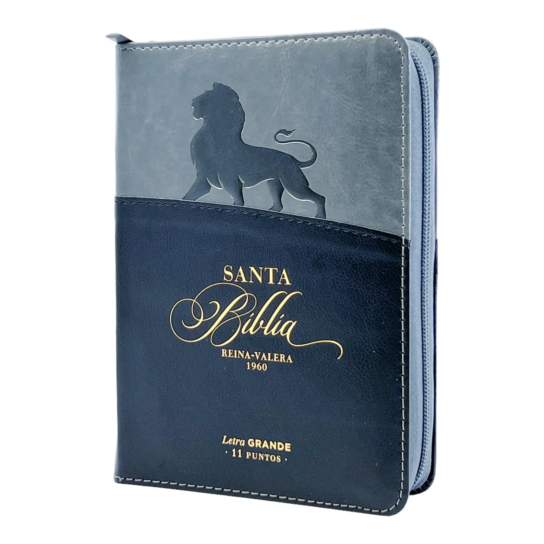 Biblia Reina Valera 1960 tamaño portátil Letra Grande 11