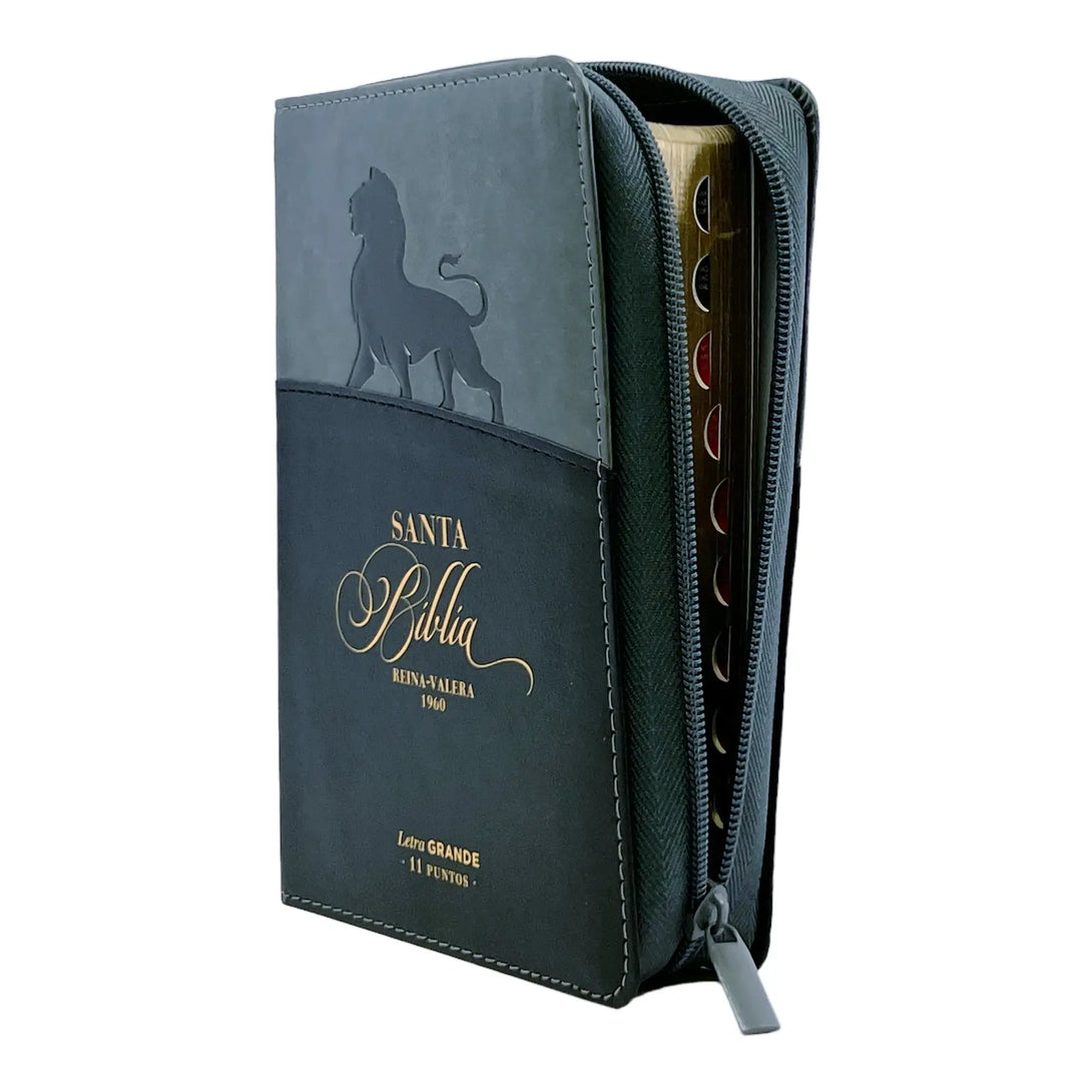 Biblia Reina Valera 1960 tamaño portátil Letra Grande 11