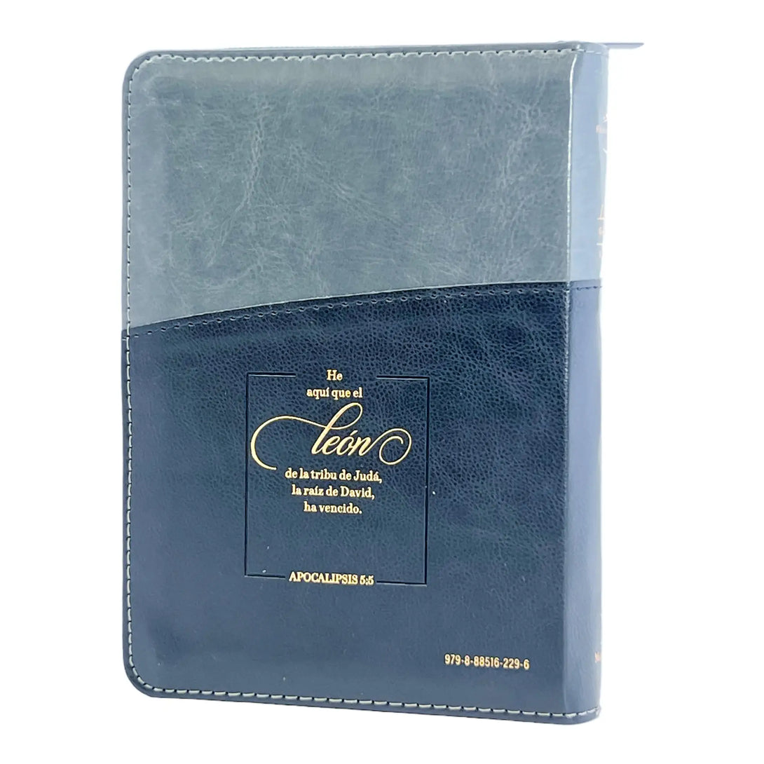 Biblia Reina Valera 1960 tamaño portátil Letra Grande 11