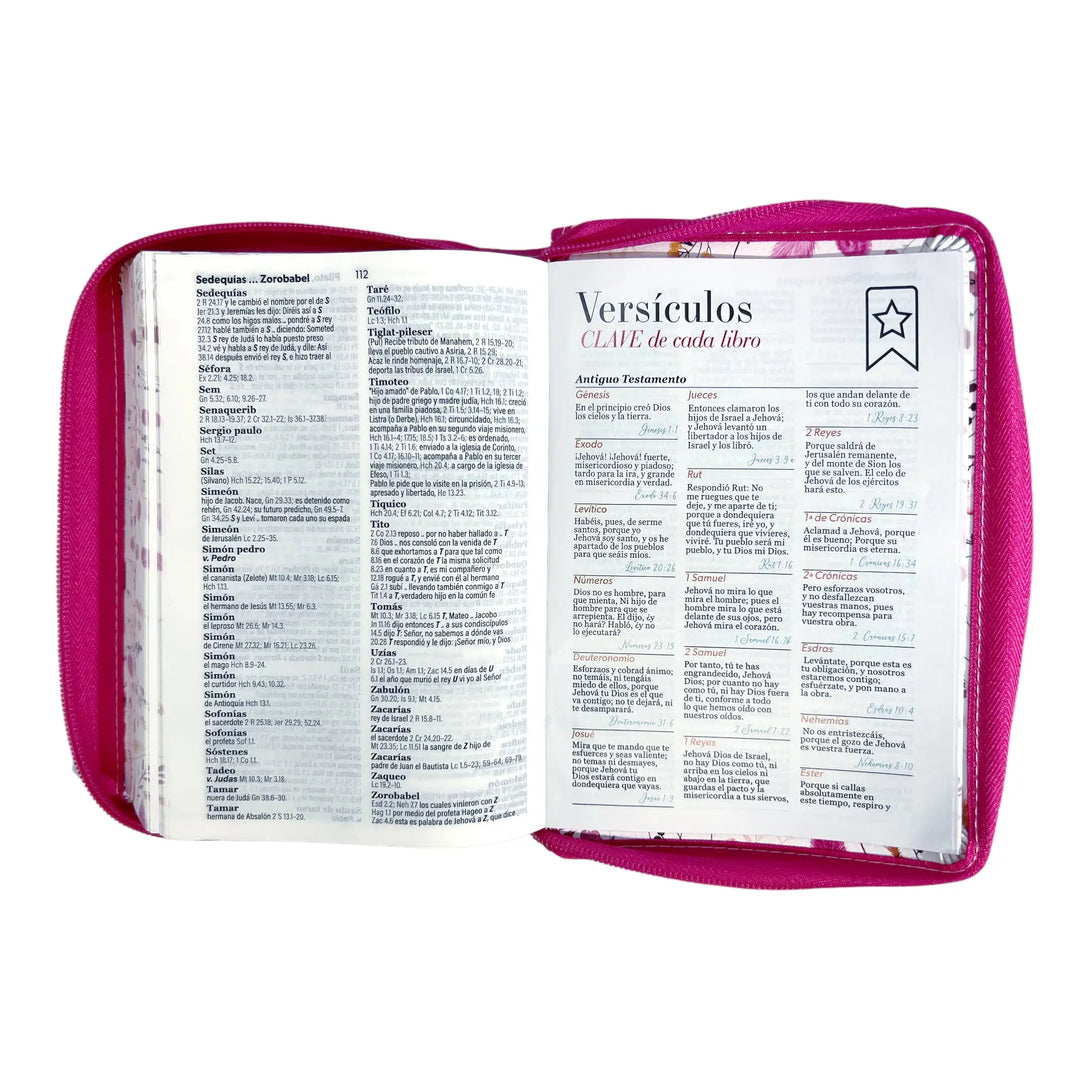 Biblia Reina Valera 1960 tamaño portátil Letra Grande 11