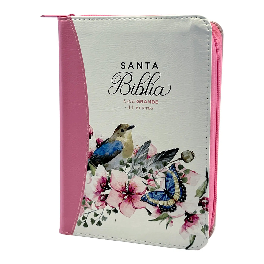 Biblia Reina Valera 1960 tamaño portátil Letra Grande 11