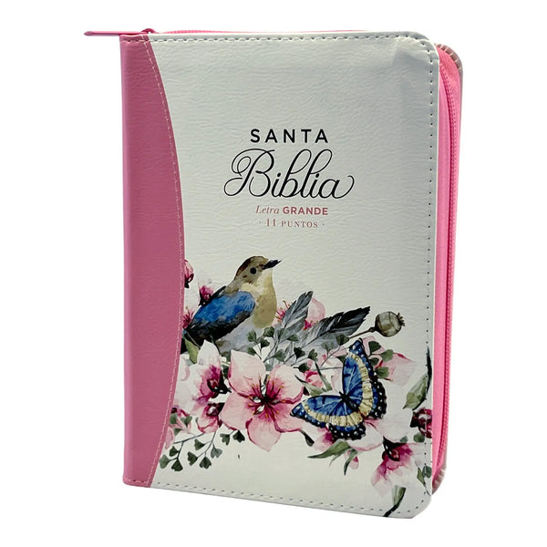 Biblia Reina Valera 1960 tamaño portátil Letra Grande 11