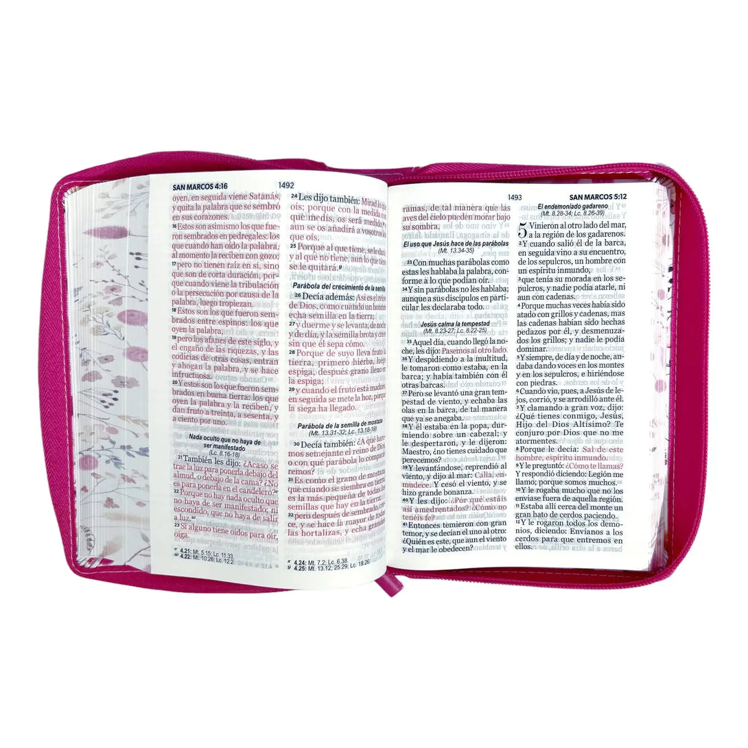Biblia Reina Valera 1960 tamaño portátil Letra Grande 11