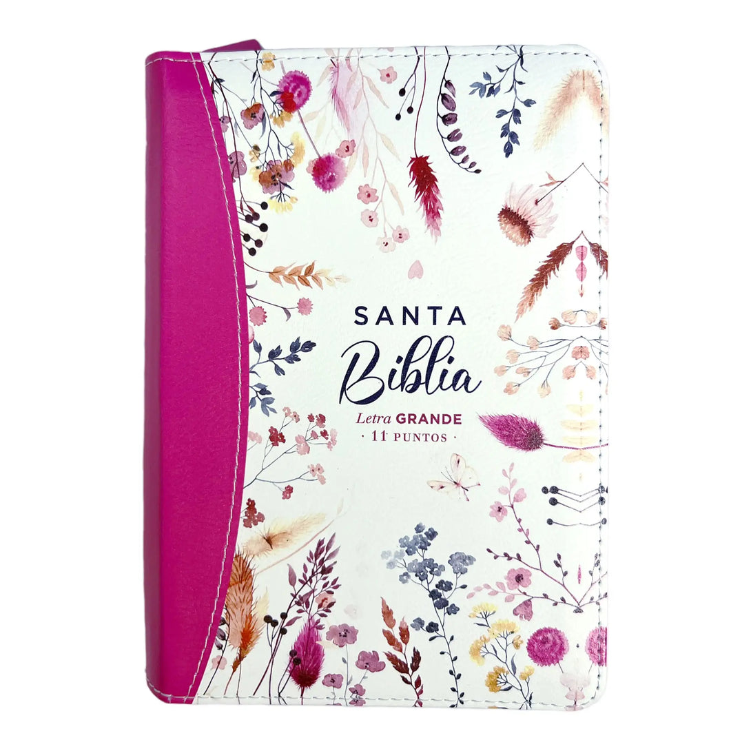 Biblia Reina Valera 1960 tamaño portátil Letra Grande 11