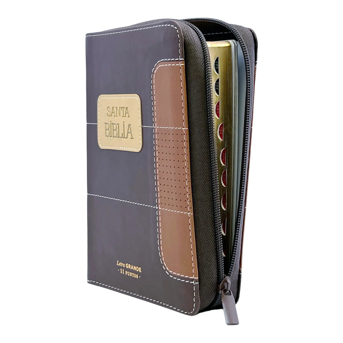 Biblia Reina Valera 1960 tamaño portátil Letra Grande 11