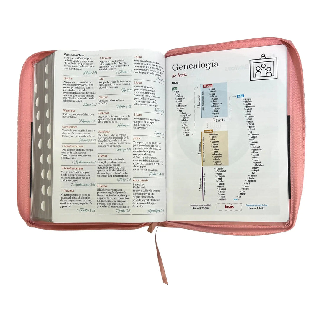 Biblia Reina Valera 1960 tamaño Súper Gigante (185x260 mm)