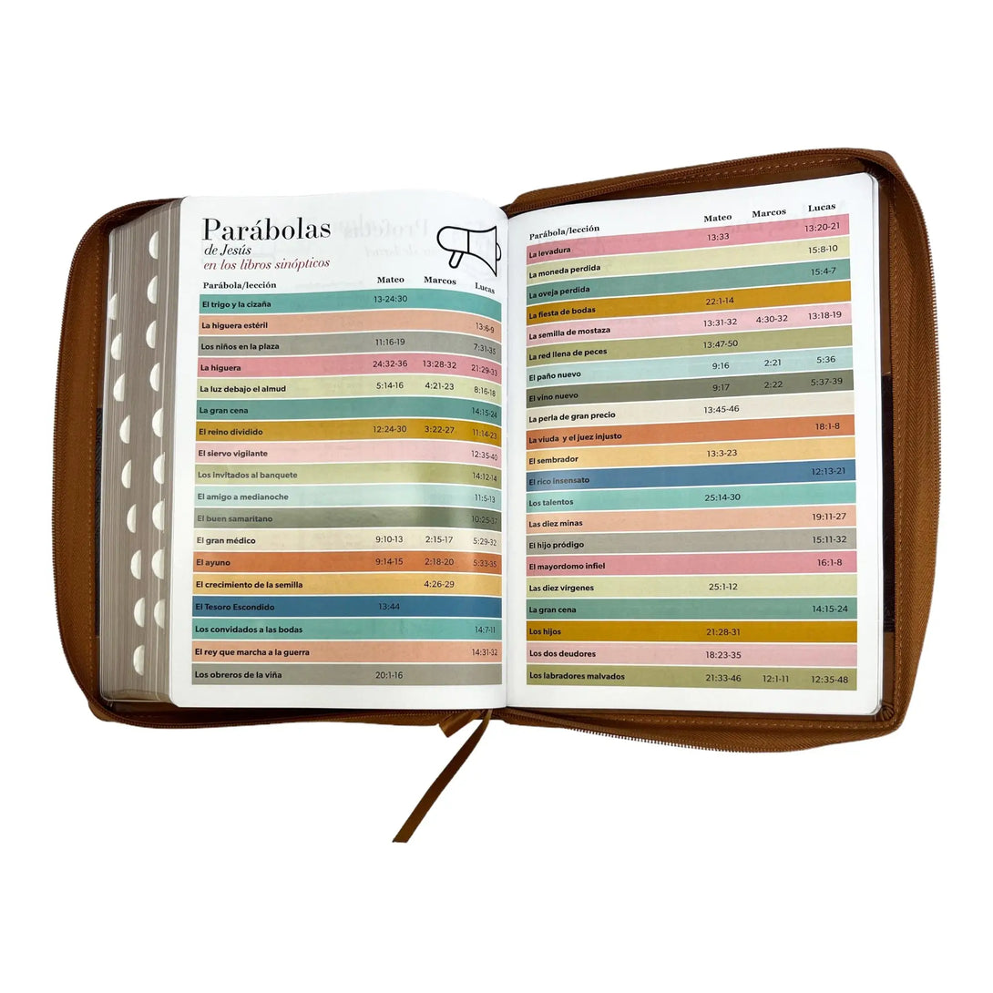 Biblia Reina Valera 1960 tamaño Súper Gigante (185x260 mm)