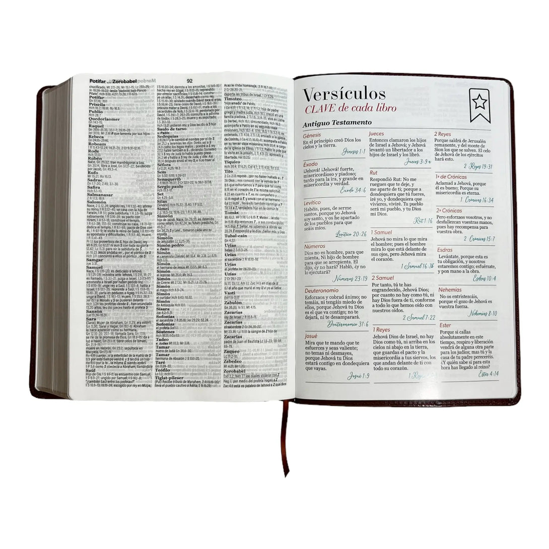 Biblia Reina Valera 1960 tamaño Súper Gigante (185x260 mm)
