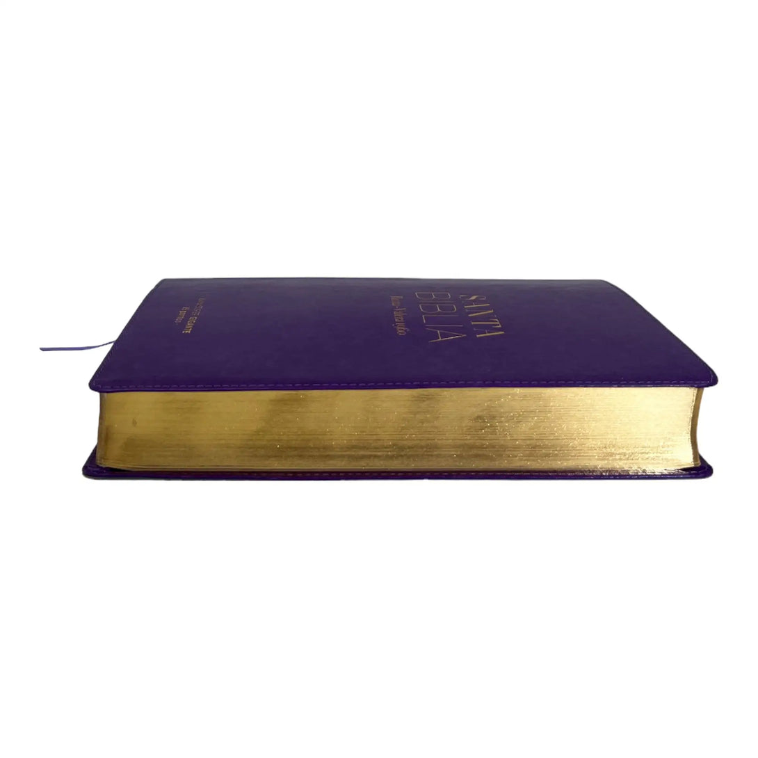 Biblia Reina Valera 1960 tamaño Súper Gigante (185x260 mm)