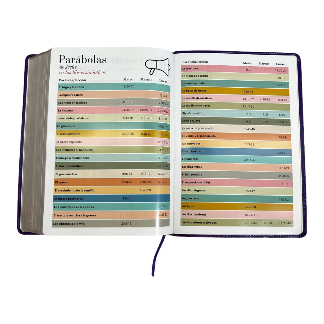 Biblia Reina Valera 1960 tamaño Súper Gigante (185x260 mm)