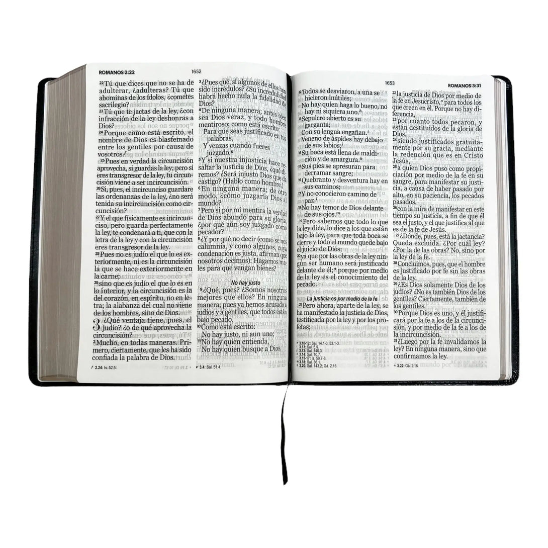Biblia Reina Valera 1960 tamaño Súper Gigante (185x260 mm)