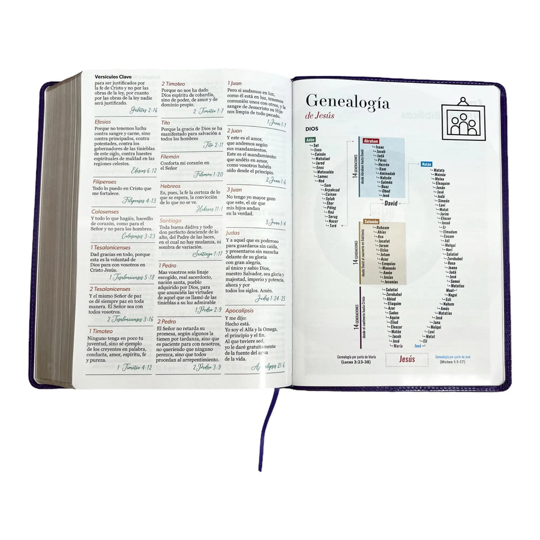 Biblia Reina Valera 1960 tamaño Súper Gigante (185x260 mm)
