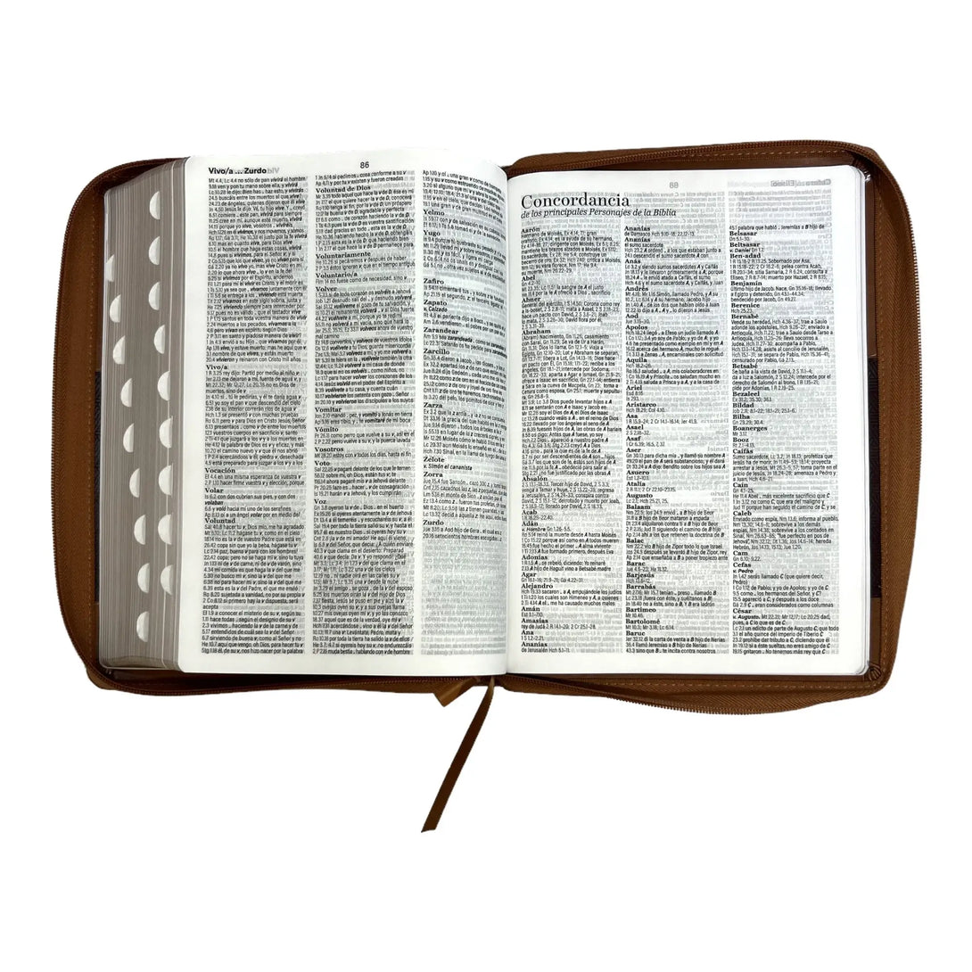 Biblia Reina Valera 1960 tamaño Súper Gigante (185x260 mm)