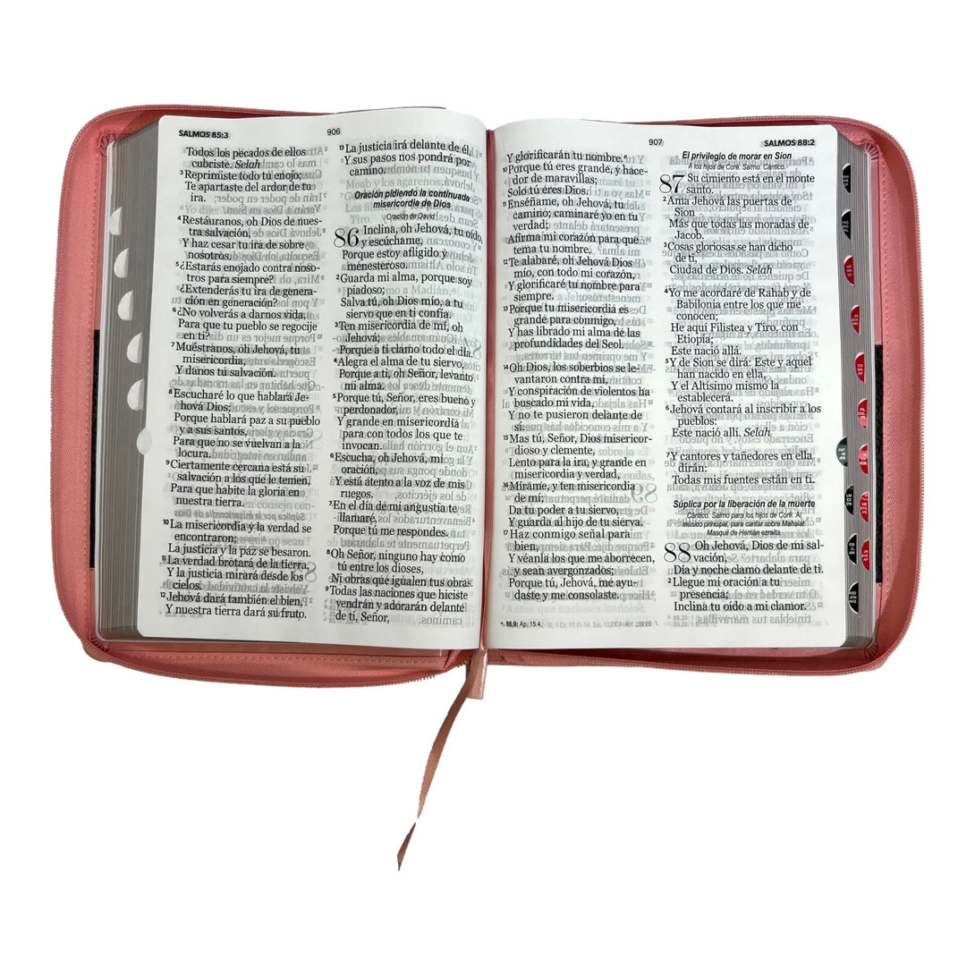 Biblia Reina Valera 1960 tamaño Súper Gigante (185x260 mm)