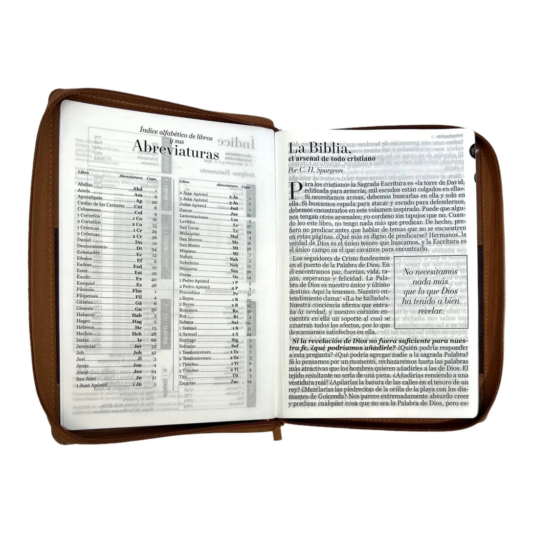 Biblia Reina Valera 1960 tamaño Súper Gigante (185x260 mm)